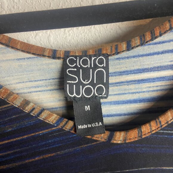 Clara Sun Woo Size Medium Striped Tunic Top Blouse Blue Brown V Neck Artsy Shirt - Picture 2 of 6